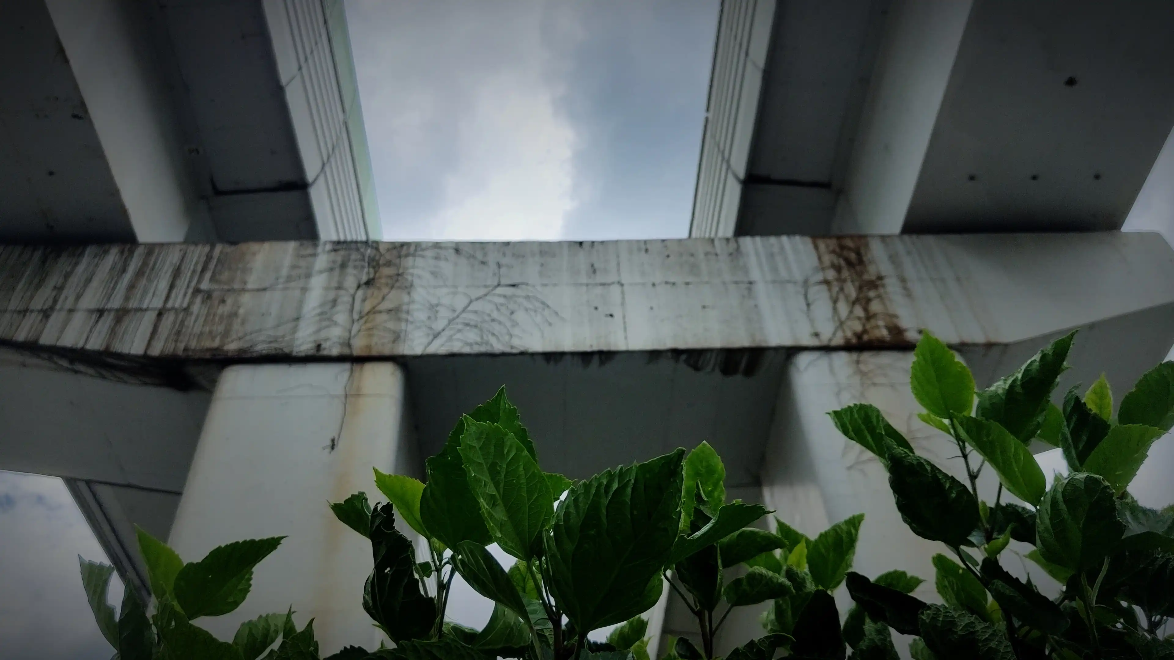 VID20250516125525-0001