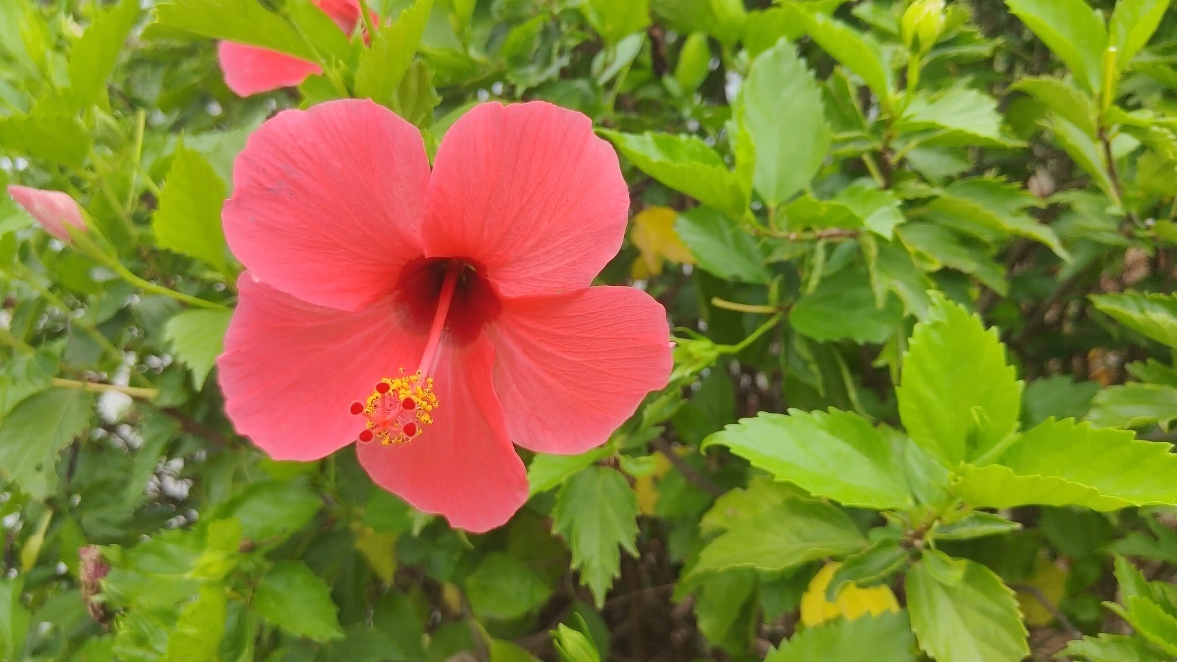 VID20250516142551-0001